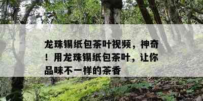 龙珠锡纸包茶叶视频，神奇！用龙珠锡纸包茶叶，让你品味不一样的茶香