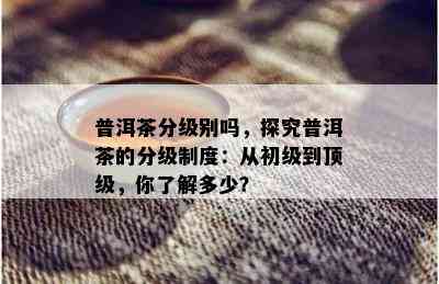 普洱茶分级别吗，探究普洱茶的分级制度：从初级到顶级，你了解多少？