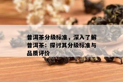 普洱茶分级标准，深入了解普洱茶：探讨其分级标准与品质评价