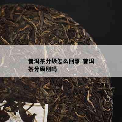 普洱茶分级怎么回事-普洱茶分级别吗