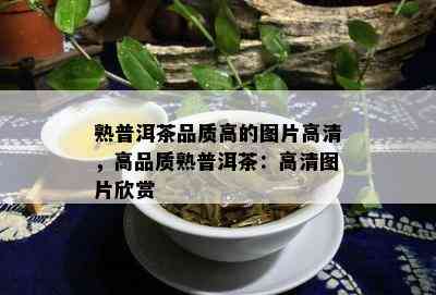 熟普洱茶品质高的图片高清，高品质熟普洱茶：高清图片欣赏