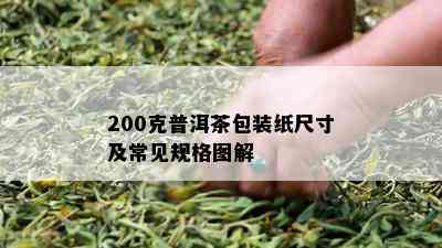 200克普洱茶包装纸尺寸及常见规格图解