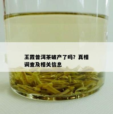 王霞普洱茶破产了吗？真相调查及相关信息