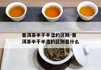 普洱茶半干半湿的区别-普洱茶半干半湿的区别是什么