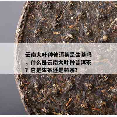 云南大叶种普洱茶是生茶吗，什么是云南大叶种普洱茶？它是生茶还是熟茶？-