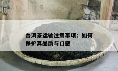 普洱茶运输注意事项：如何保护其品质与口感