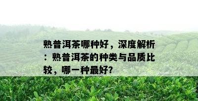 熟普洱茶哪种好，深度解析：熟普洱茶的种类与品质比较，哪一种更好？