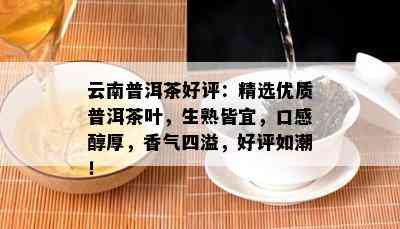 云南普洱茶好评：精选优质普洱茶叶，生熟皆宜，口感醇厚，香气四溢，好评如潮！