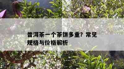 普洱茶一个茶饼多重？常见规格与价格解析