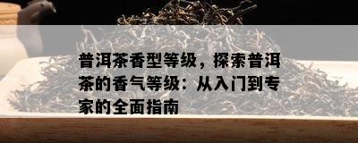 普洱茶香型等级，探索普洱茶的香气等级：从入门到专家的全面指南