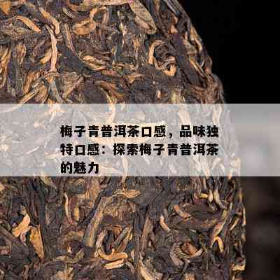 梅子青普洱茶口感，品味独特口感：探索梅子青普洱茶的魅力