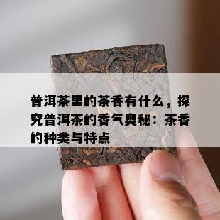 普洱茶里的茶香有什么，探究普洱茶的香气奥秘：茶香的种类与特点