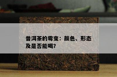 普洱茶的霉变：颜色、形态及是否能喝？