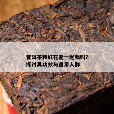 普洱茶和红花能一起喝吗？探讨其功效与适用人群