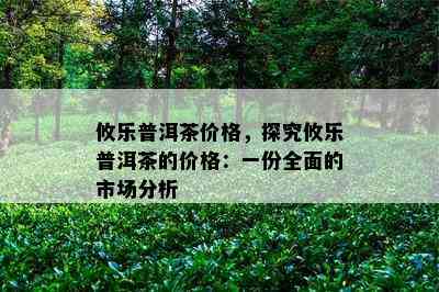 攸乐普洱茶价格，探究攸乐普洱茶的价格：一份全面的市场分析