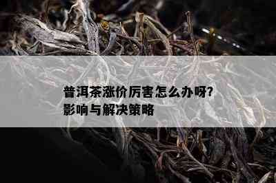 普洱茶涨价厉害怎么办呀？影响与解决策略