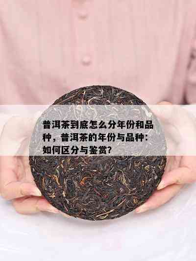 普洱茶到底怎么分年份和品种，普洱茶的年份与品种：如何区分与鉴赏？