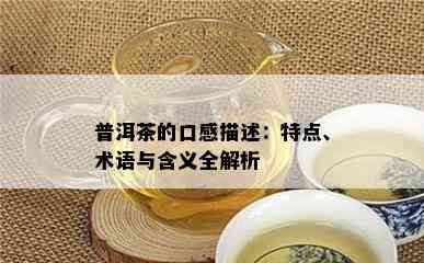 普洱茶的口感描述：特点、术语与含义全解析