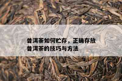 普洱茶如何贮存，正确存放普洱茶的技巧与方法