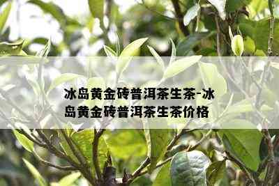 冰岛黄金砖普洱茶生茶-冰岛黄金砖普洱茶生茶价格