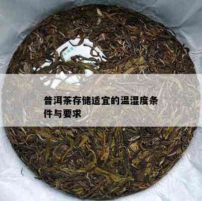 普洱茶存储适宜的温湿度条件与要求