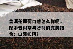 普洱茶薄荷口感怎么样啊，探索普洱茶与薄荷的完美结合：口感如何？