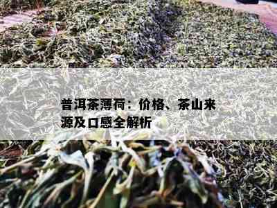 普洱茶薄荷：价格、茶山来源及口感全解析