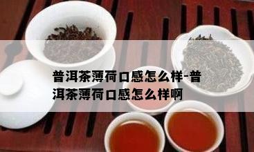 普洱茶薄荷口感怎么样-普洱茶薄荷口感怎么样啊