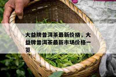 大益牌普洱茶最新价格，大益牌普洱茶最新市场价格一览