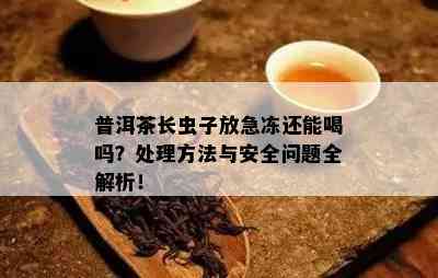 普洱茶长虫子放急冻还能喝吗？处理方法与安全问题全解析！