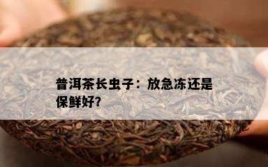 普洱茶长虫子：放急冻还是保鲜好？