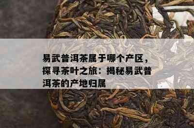 易武普洱茶属于哪个产区，探寻茶叶之旅：揭秘易武普洱茶的产地归属