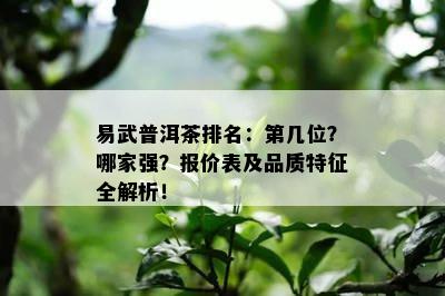 易武普洱茶排名：第几位？哪家强？报价表及品质特征全解析！