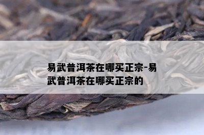 易武普洱茶在哪买正宗-易武普洱茶在哪买正宗的