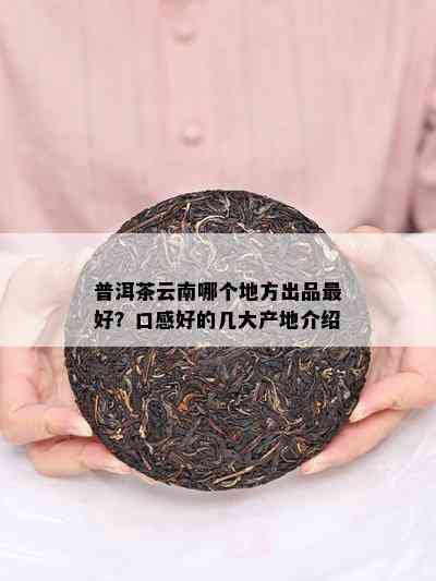 普洱茶云南哪个地方出品更好？口感好的几大产地介绍