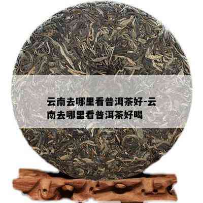 云南去哪里看普洱茶好-云南去哪里看普洱茶好喝