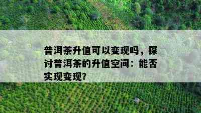 普洱茶升值可以变现吗，探讨普洱茶的升值空间：能否实现变现？