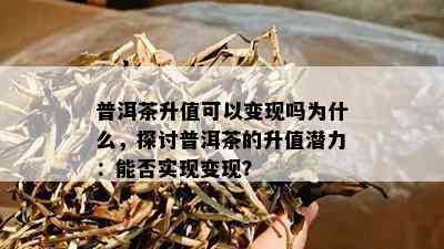 普洱茶升值可以变现吗为什么，探讨普洱茶的升值潜力：能否实现变现？