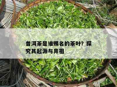 普洱茶是谁赐名的茶叶？探究其起源与鼻祖