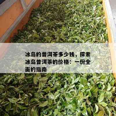 冰岛的普洱茶多少钱，探索冰岛普洱茶的价格：一份全面的指南