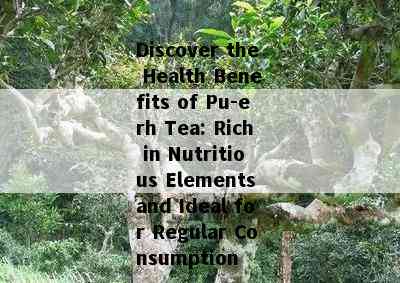 Discover the Health Benefits of Pu-erh Tea: Rich in Nutritious Elements and Ideal for Regular Consumption