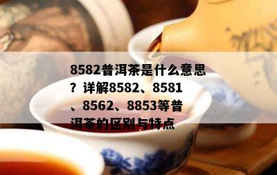 8582普洱茶是什么意思？详解8582、8581、8562、8853等普洱茶的区别与特点