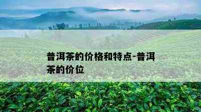 普洱茶的价格和特点-普洱茶的价位