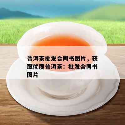 普洱茶批发合同书图片，获取优质普洱茶：批发合同书图片