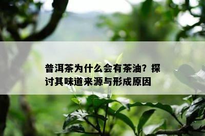 普洱茶为什么会有茶油？探讨其味道来源与形成原因