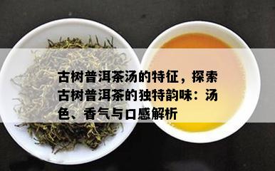 古树普洱茶汤的特征，探索古树普洱茶的独特韵味：汤色、香气与口感解析