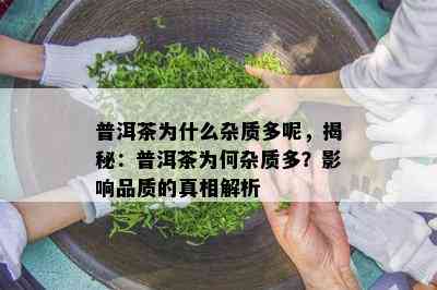 普洱茶为什么杂质多呢，揭秘：普洱茶为何杂质多？影响品质的真相解析