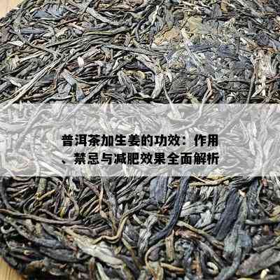 普洱茶加生姜的功效：作用、禁忌与减肥效果全面解析