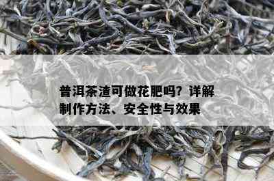 普洱茶渣可做花肥吗？详解制作方法、安全性与效果