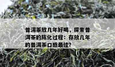 普洱茶放几年好喝，探索普洱茶的陈化过程：存放几年的普洱茶口感更佳？